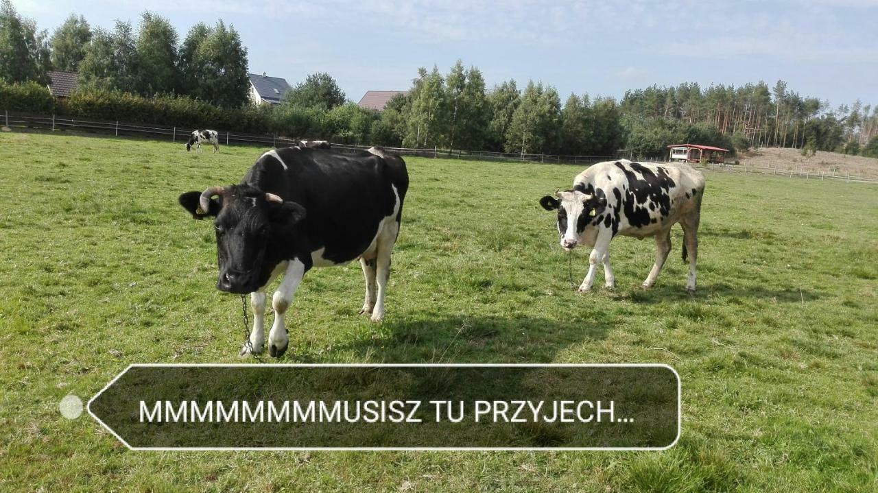 Agroturystyka Sominy Piotr Eksteriør billede